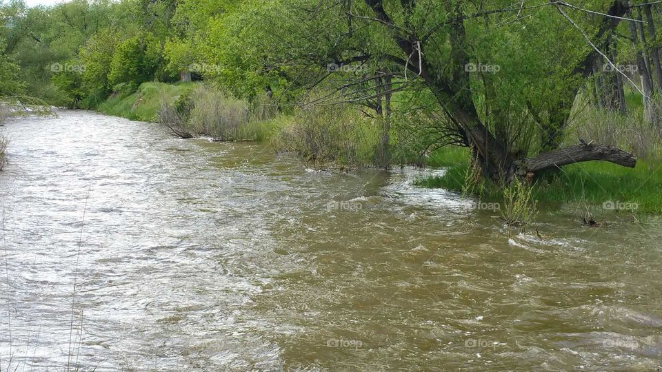 water is pretty high from the run off!