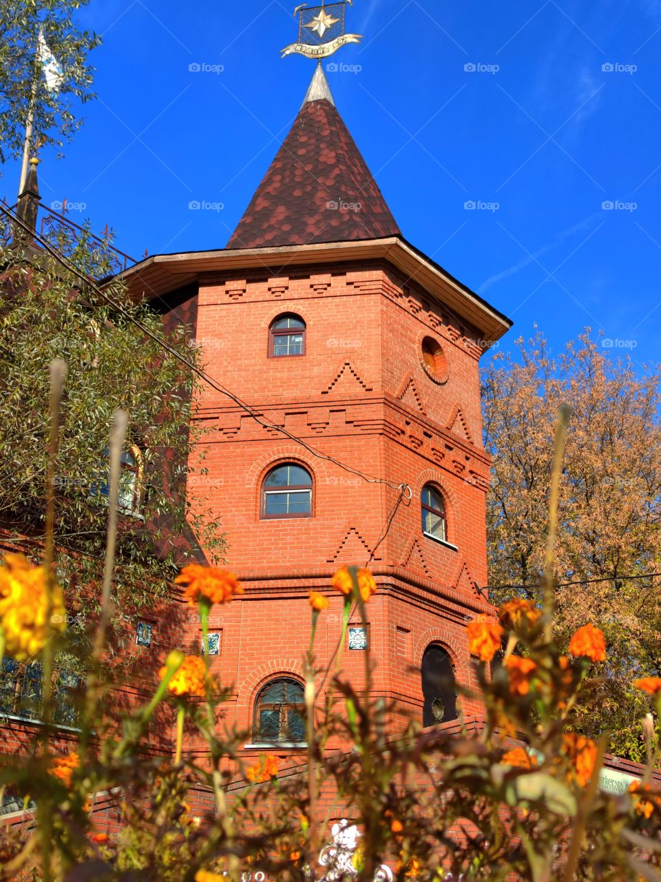 Autumn.  Orange flowers.  In the background is a brick house, a yellow tree and a green tree.  Contrast with blue sky