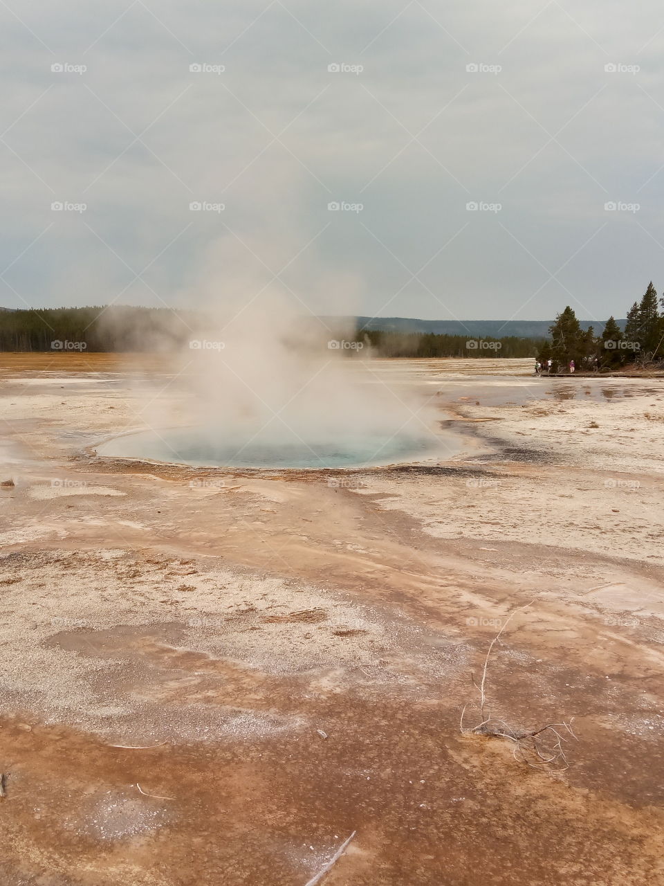 geyser at Yellowstone National Park