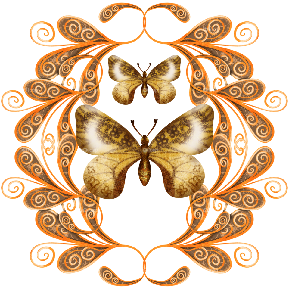 print butterfly ornate