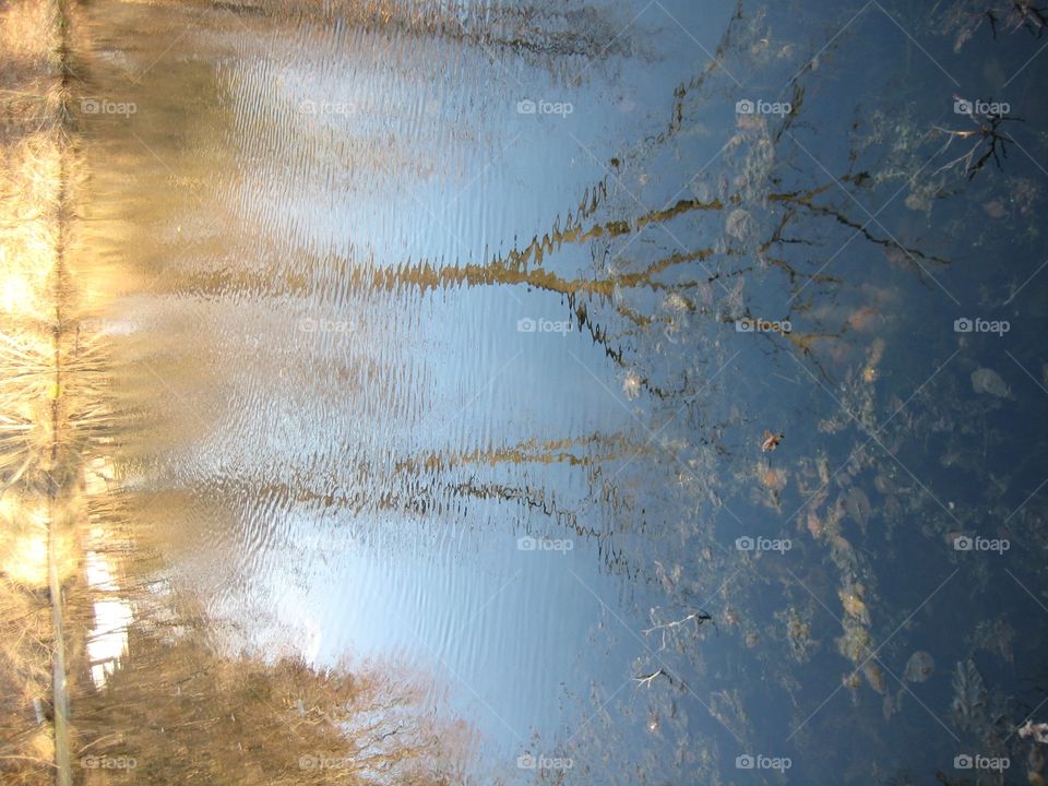 Reflections on Better Days