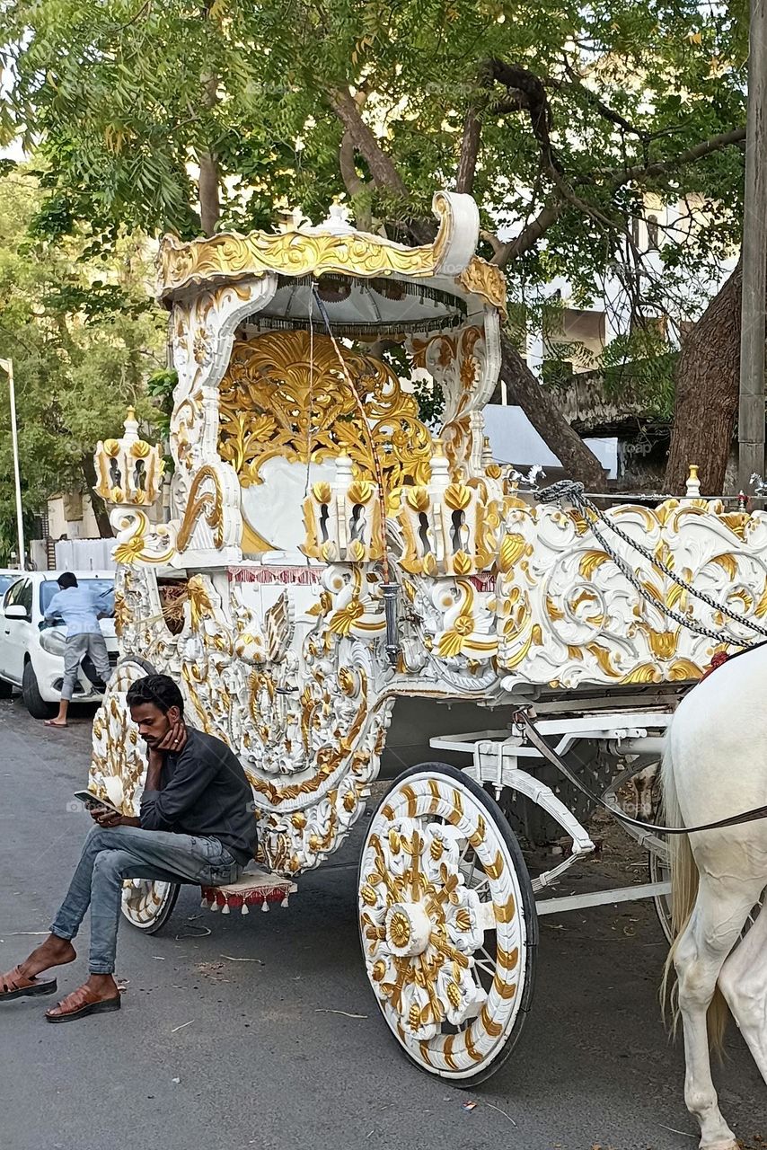 Horse Drawn Carriage