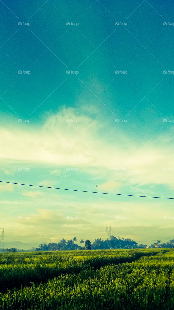 art photography design