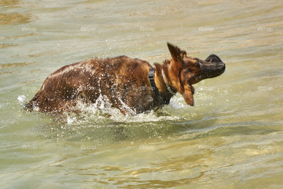 Expulsando el agua