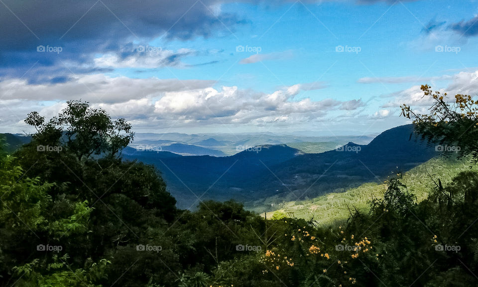 The vegetation of the southern region is varied, with Araucaria forests (pine forests) on the plateaus and fields on the pampas. The Atlantic Forest, with a large primitive vegetation cover, covers a large part of the Serra do Mar.