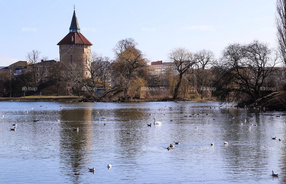 Pildammsparken i Malmö 