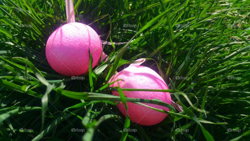 Pink eggs in grass