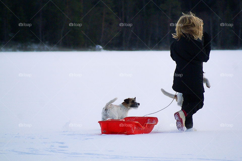 Rear view of girl running with her dogs