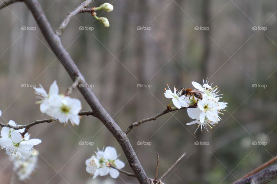 Leben und Natur