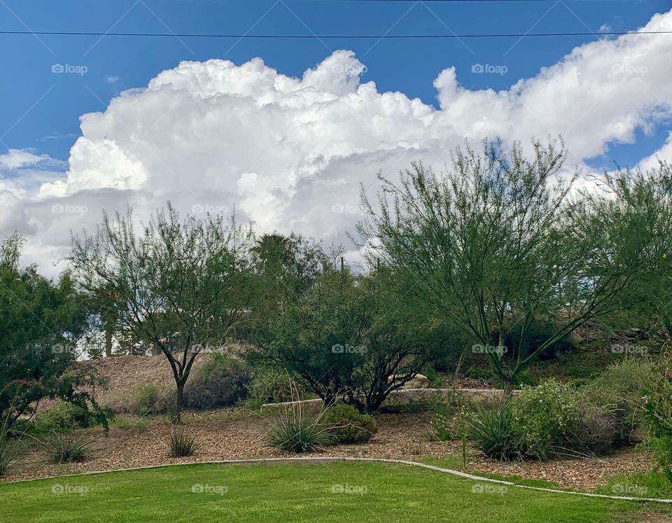 Monsoon Season , Cloudy Skies 