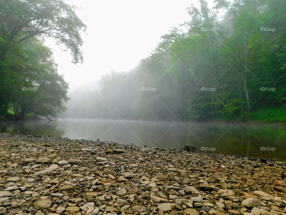 Fog On The Water