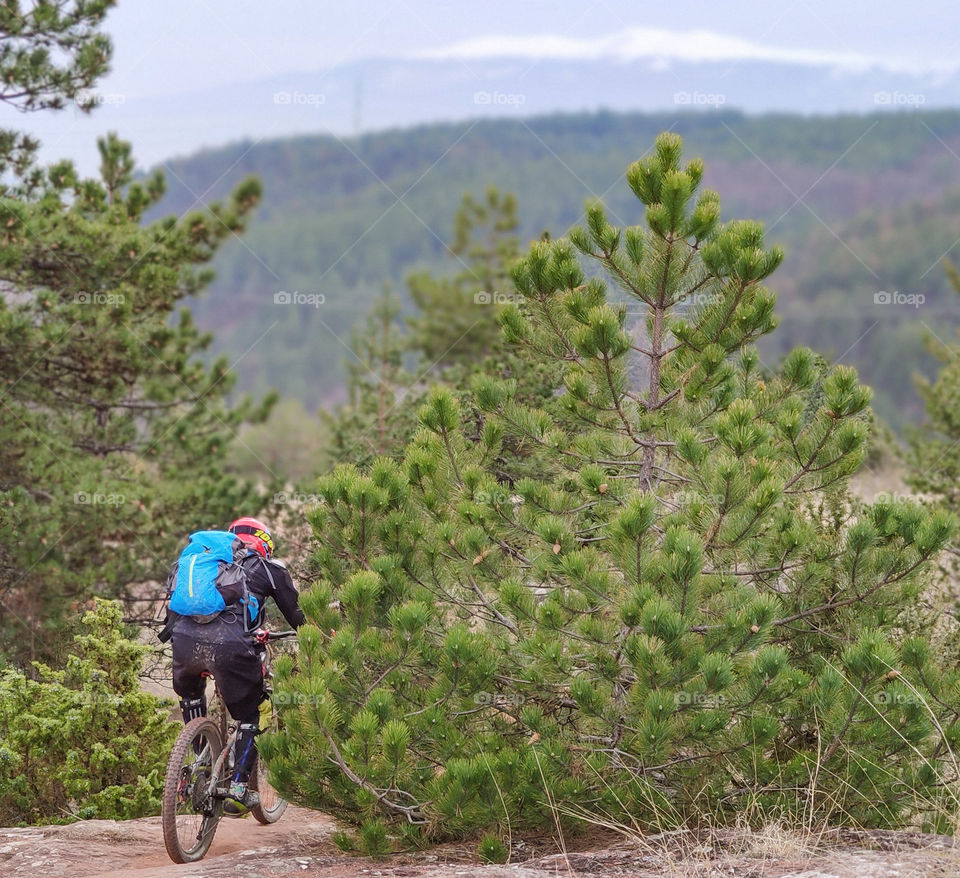 Fast pace into the woods