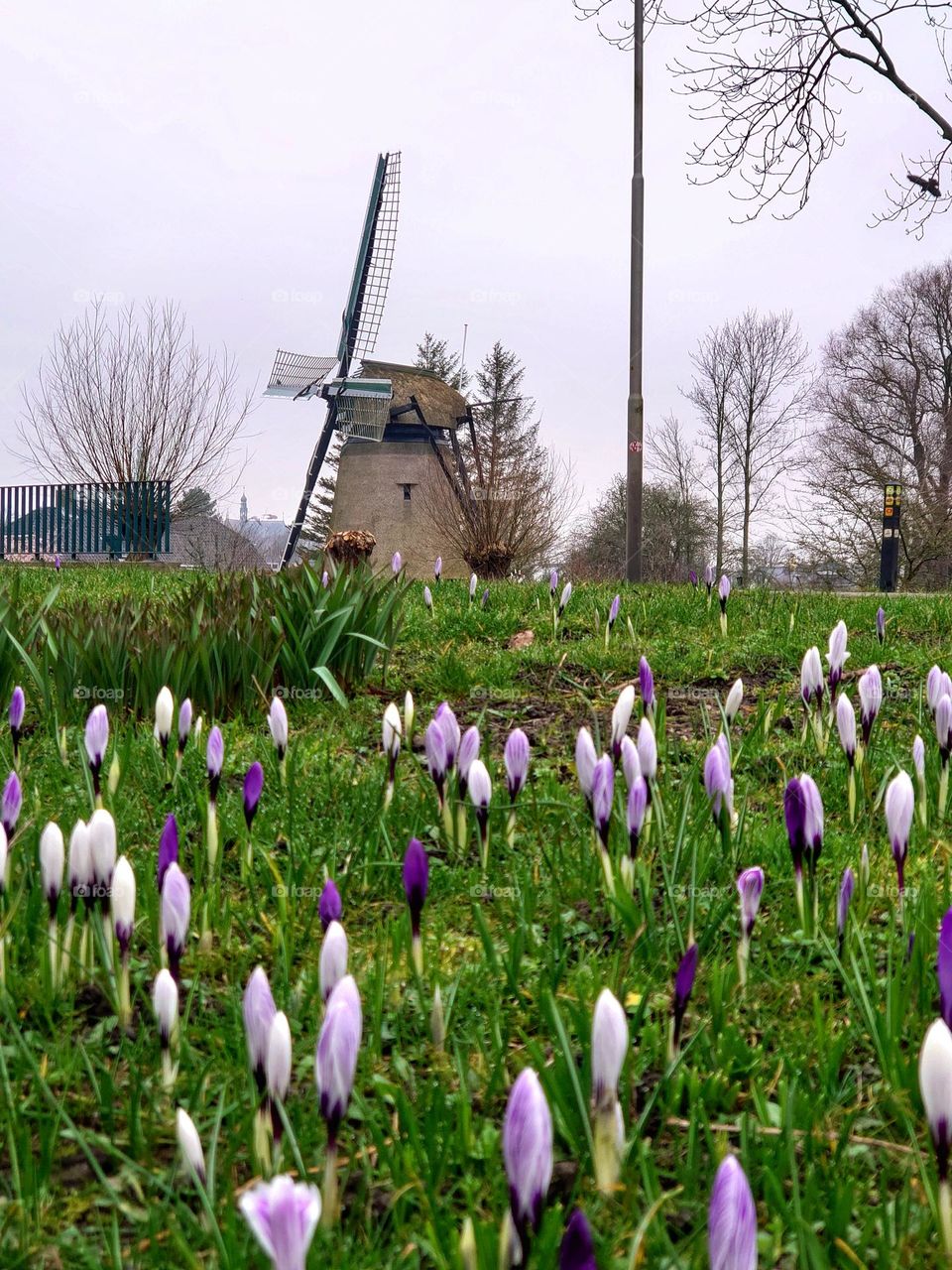 old windmill