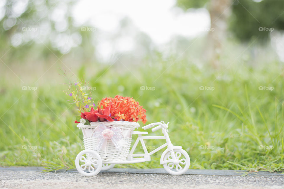 bicycle bring flower