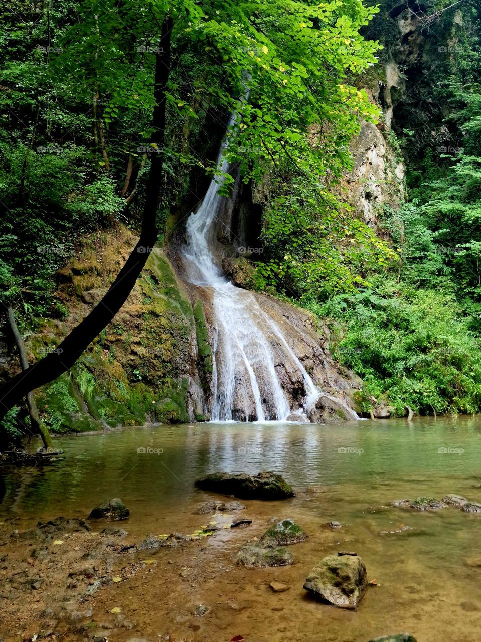 waterfall in the forest