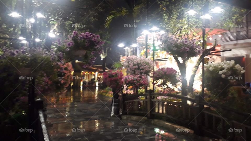 hoa cỏ đêm xuân