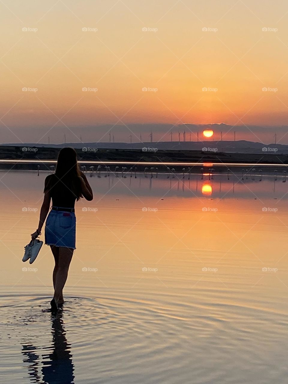 The reflection of the sunset and graceful flamingos dance on the water's surface 🦩