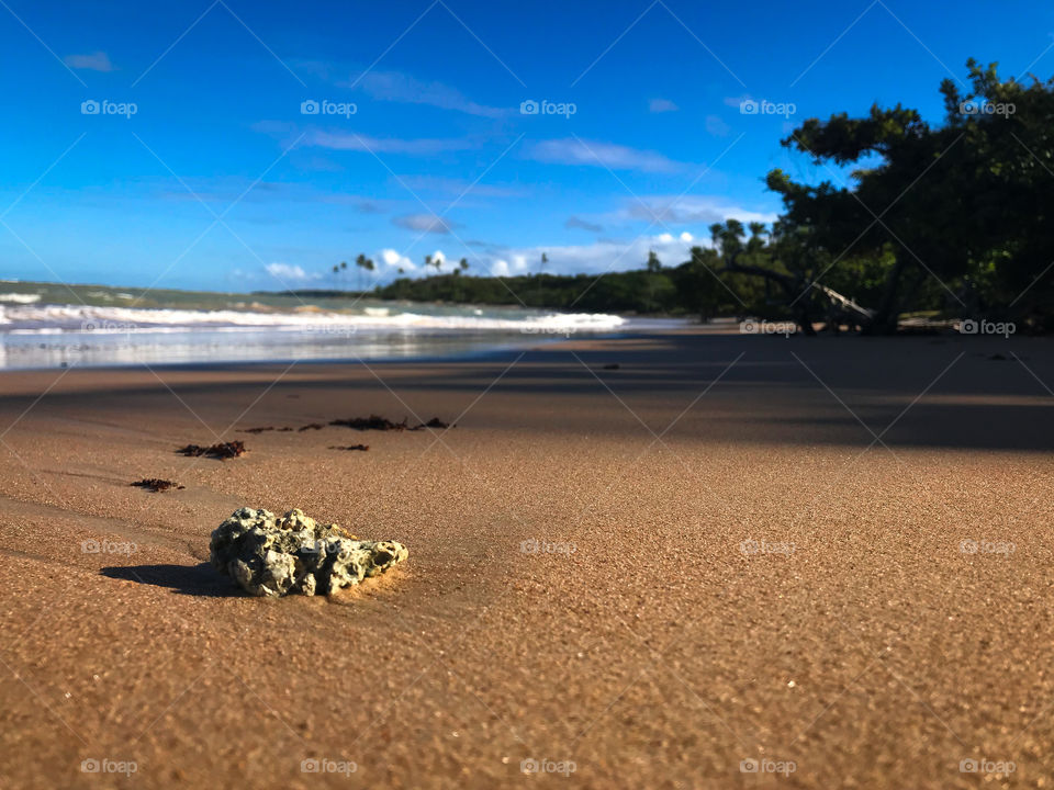 beautiful beach in Cumuruxatiba Bahia Brazil