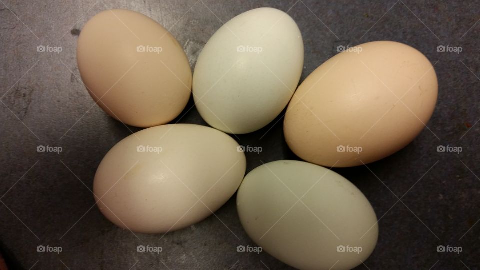 Rainbow  Eggs. Amerucana  eggs