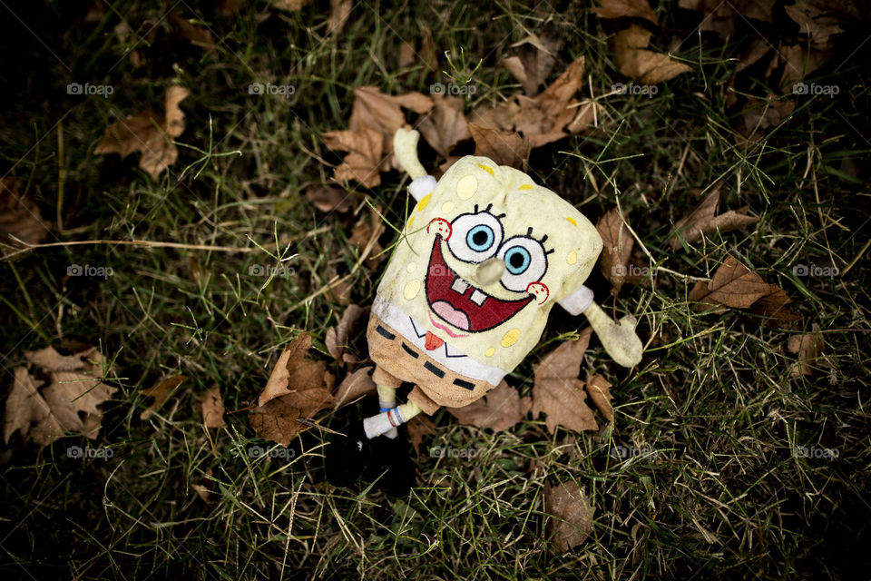 Toy abandoned by a child!