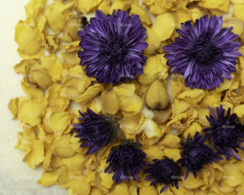 Violet and Yellow; Flower Happy Face