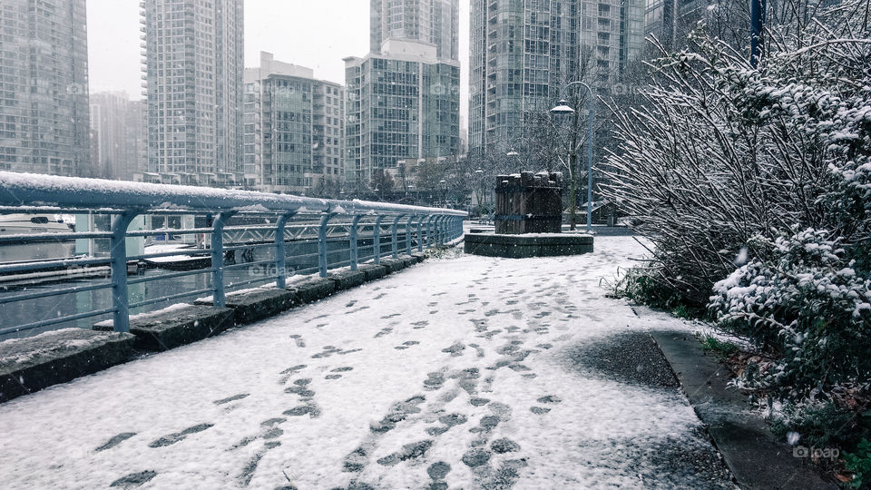 Snow, a rare sight in downtown Vancouver