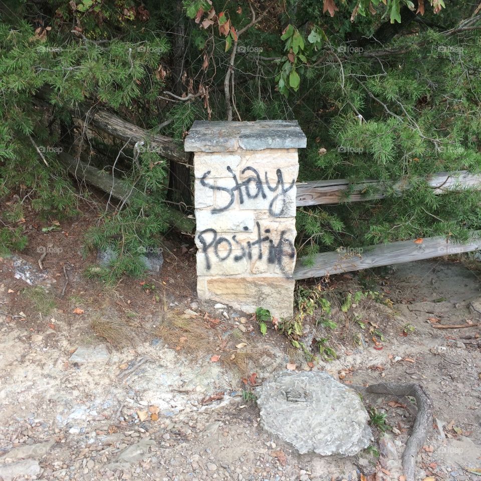 Graffiti with positive message on forest trail