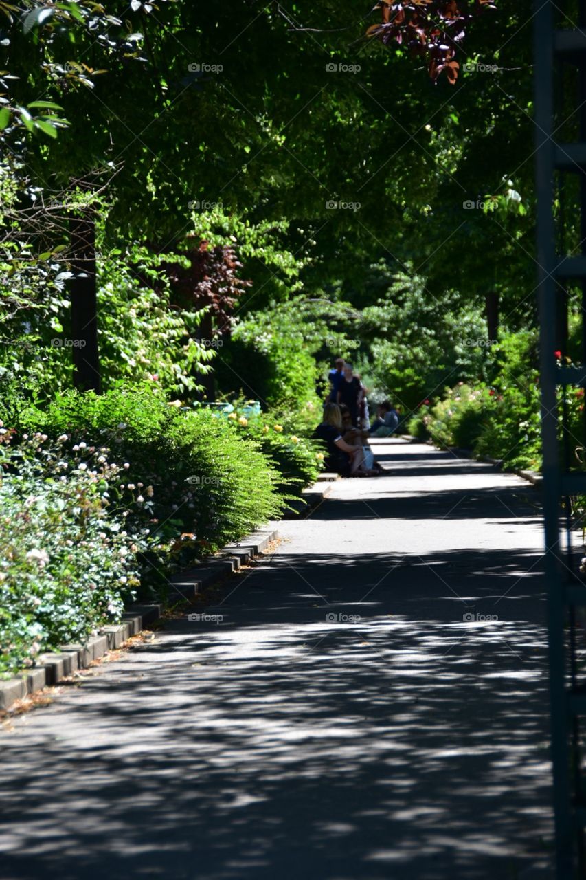 Green corridor