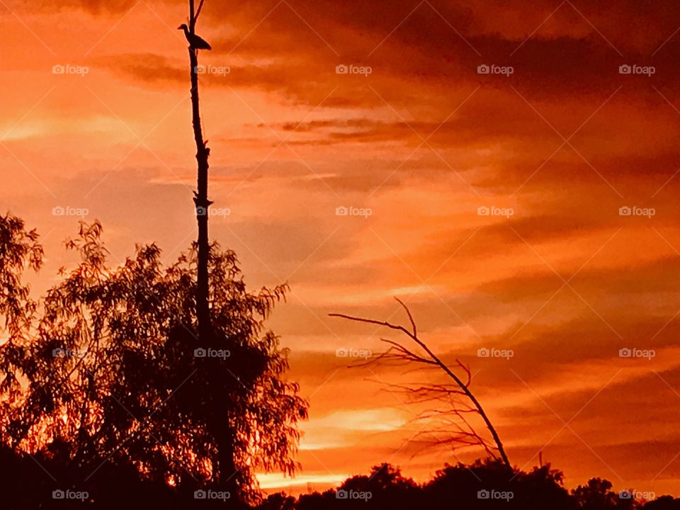 A different set up for a Vertical sunset. This sunset kept the Orange Flavor throughout the entire Twilight to Night. Total Reflection for the Majority of Lake Waters. Unbelievable sight for Sunset. Beautiful Gorgeous Captivating 