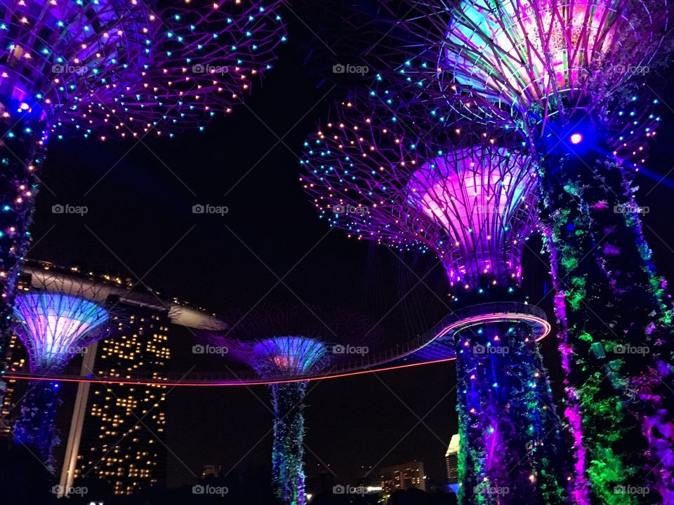 All of the lights - Garden by the Bay, Singapore 