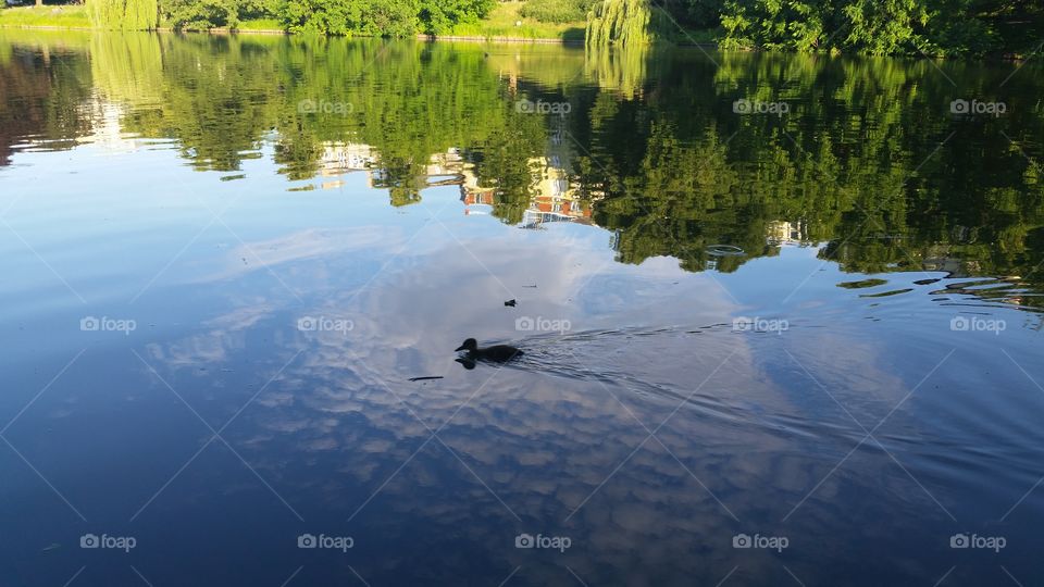 Water, Reflection, River, Lake, Landscape