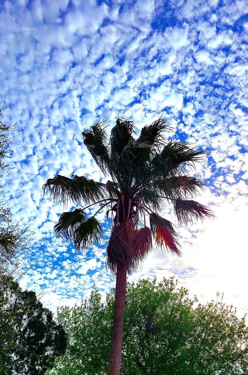 Beautiful day on the Gulf Coast of Texas.