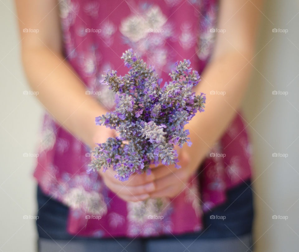 A bouquet of summer lavender 