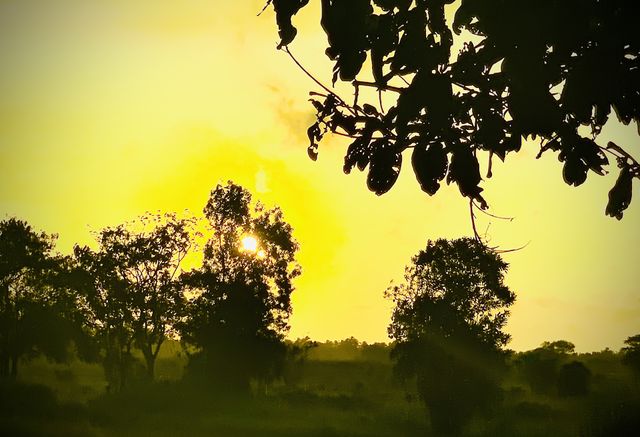 Sunset 
