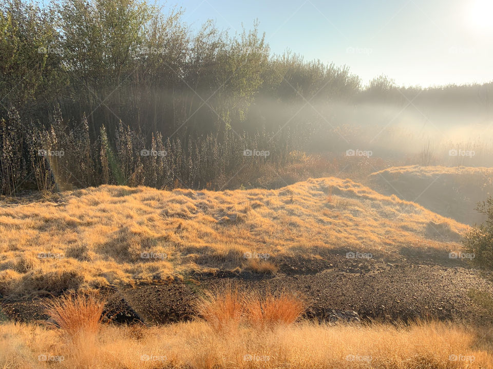 Beautiful morning run view. Fog creating a scene of mystique