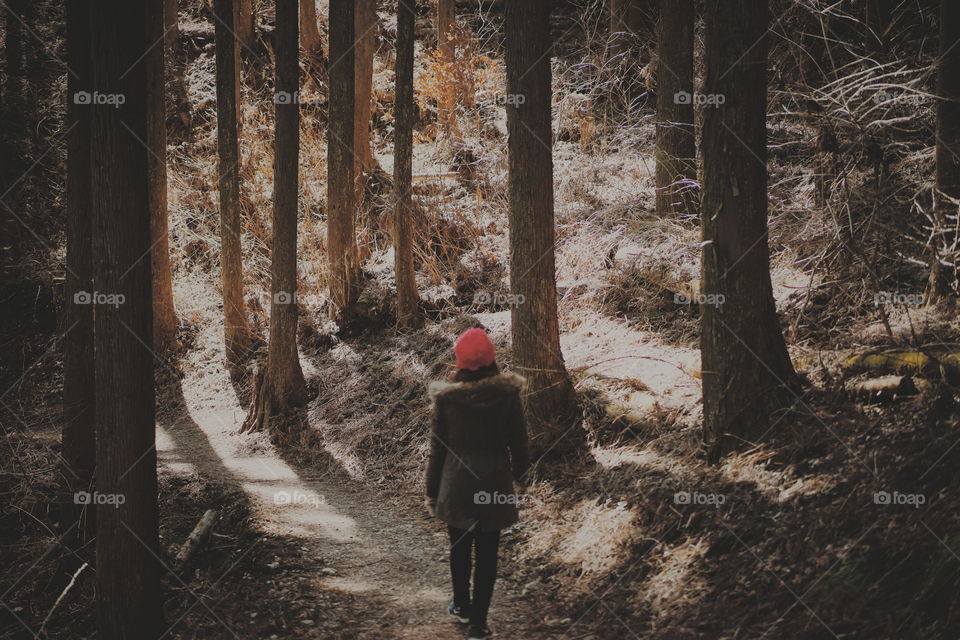 Mt Mitake. Wondering through the beautiful woods of Mt Mitake Japan