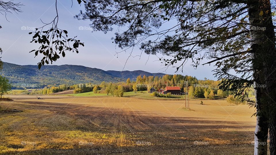 Countryside in Norway