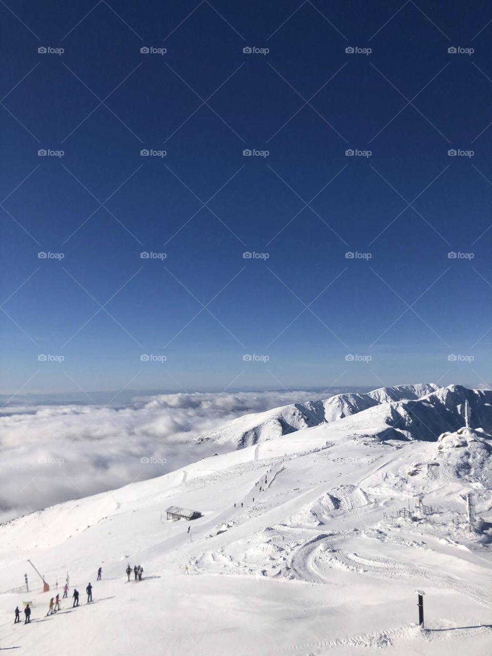 High in the mountains 