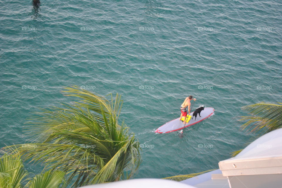 A guy on a paddle board with a dog in Key West, Fl