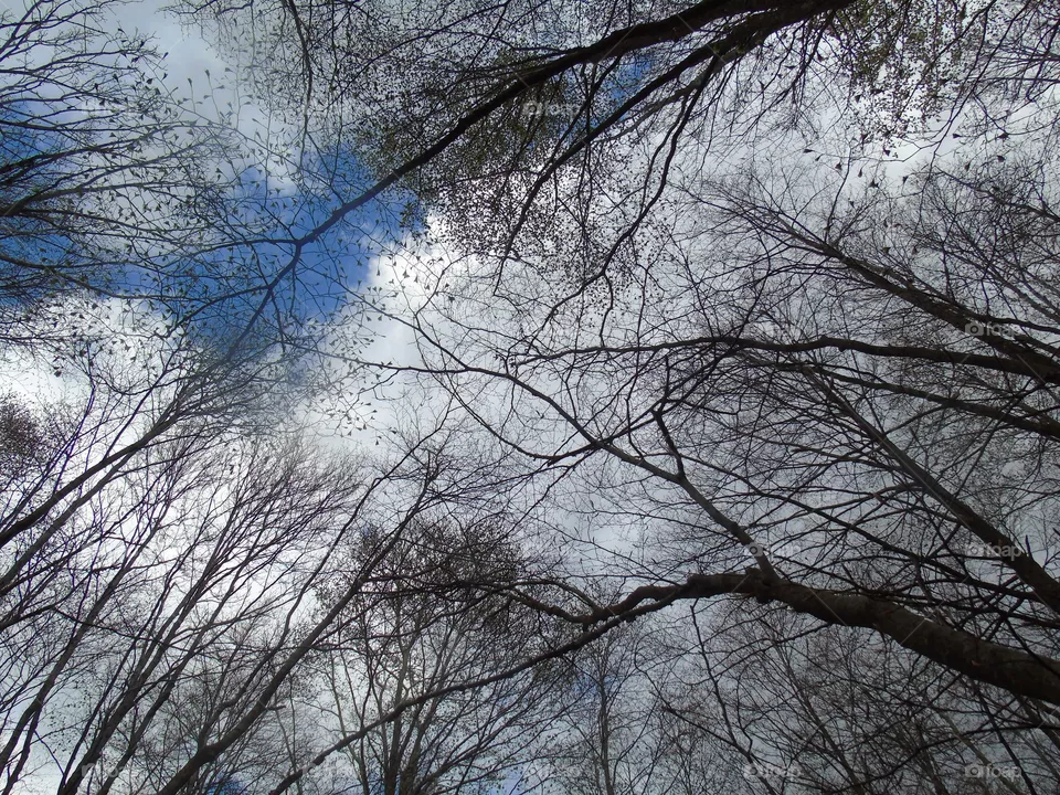 Cloud