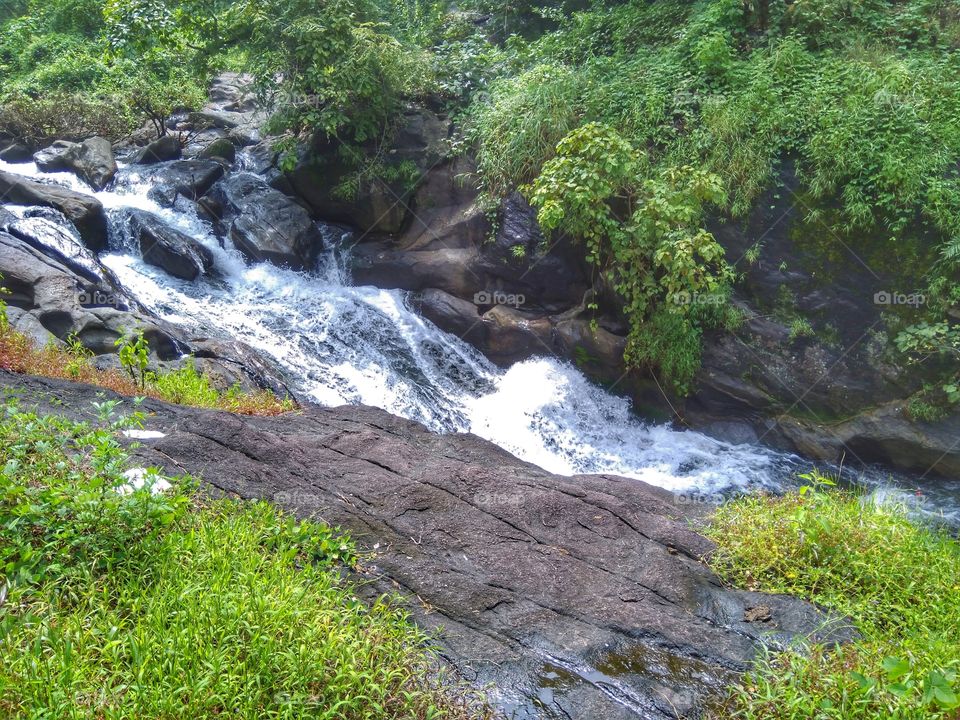 jungle waterfall