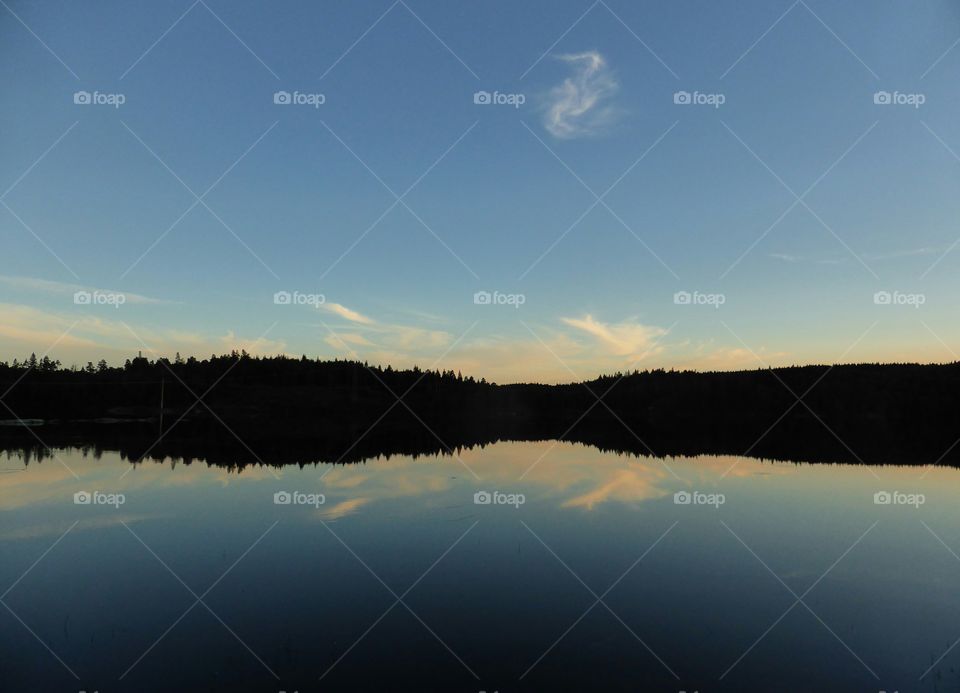 forest reflection in a lake in dawn