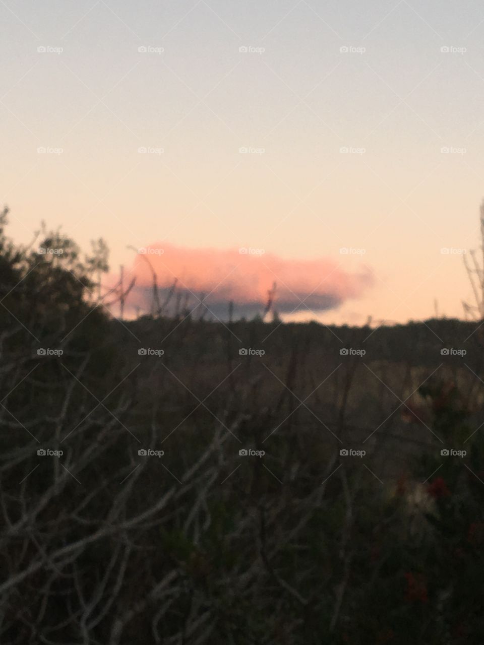 Pink cloud 