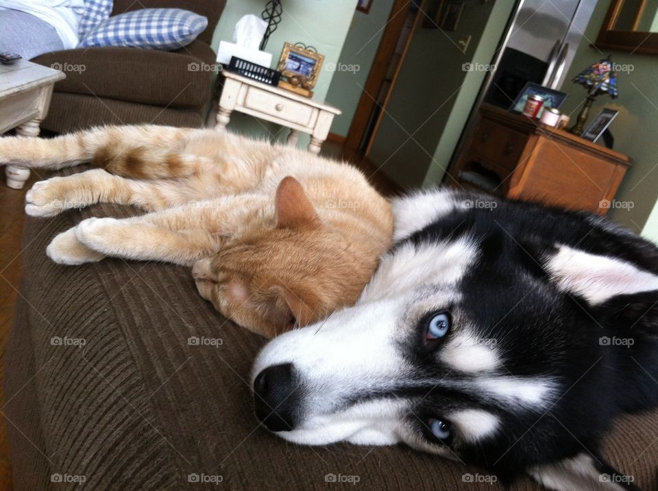 Best friends rest together