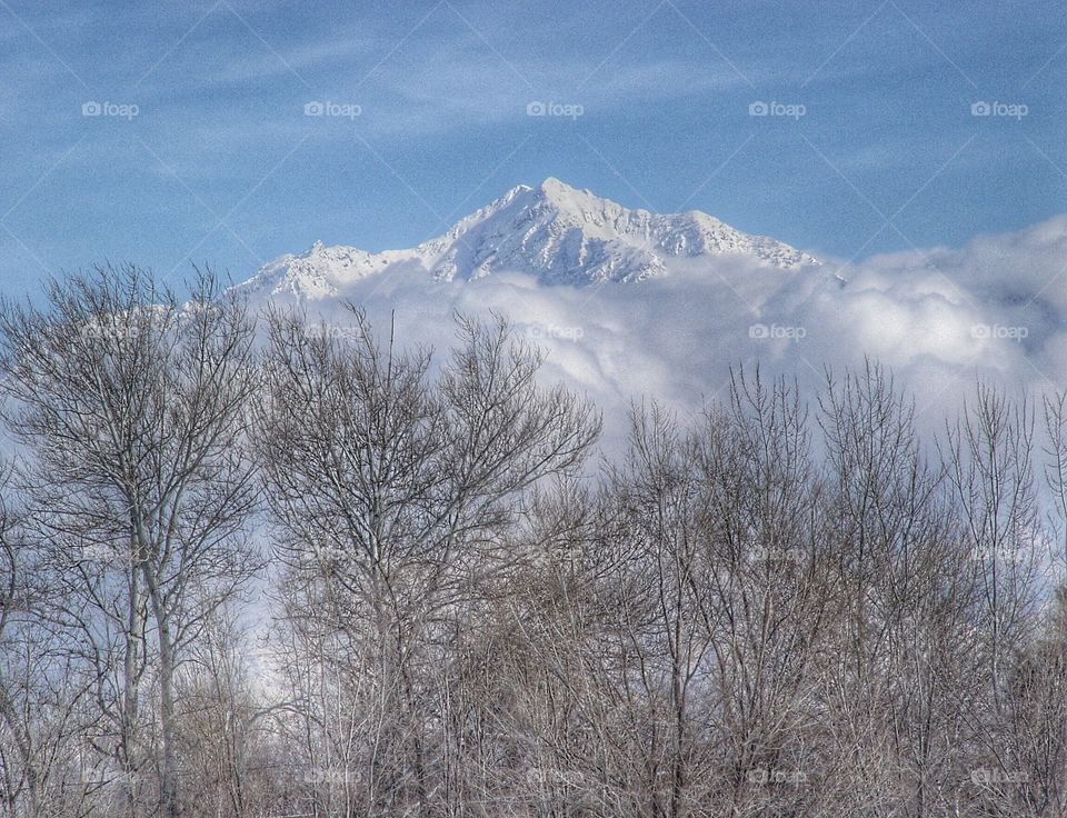 Snowy peaks in winter