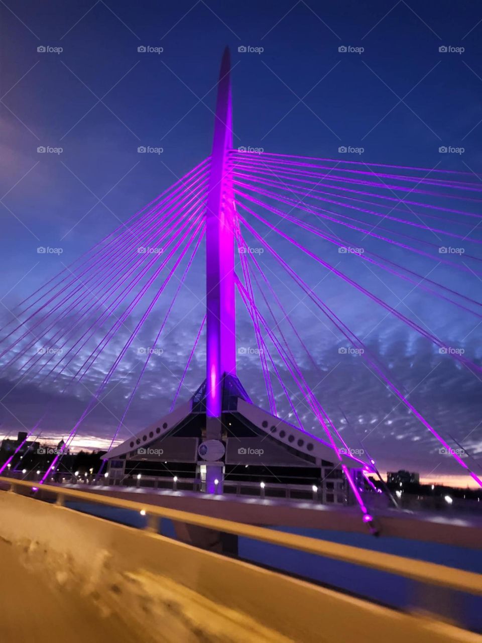 Esplanade Riel Foot Bridge Winnipeg