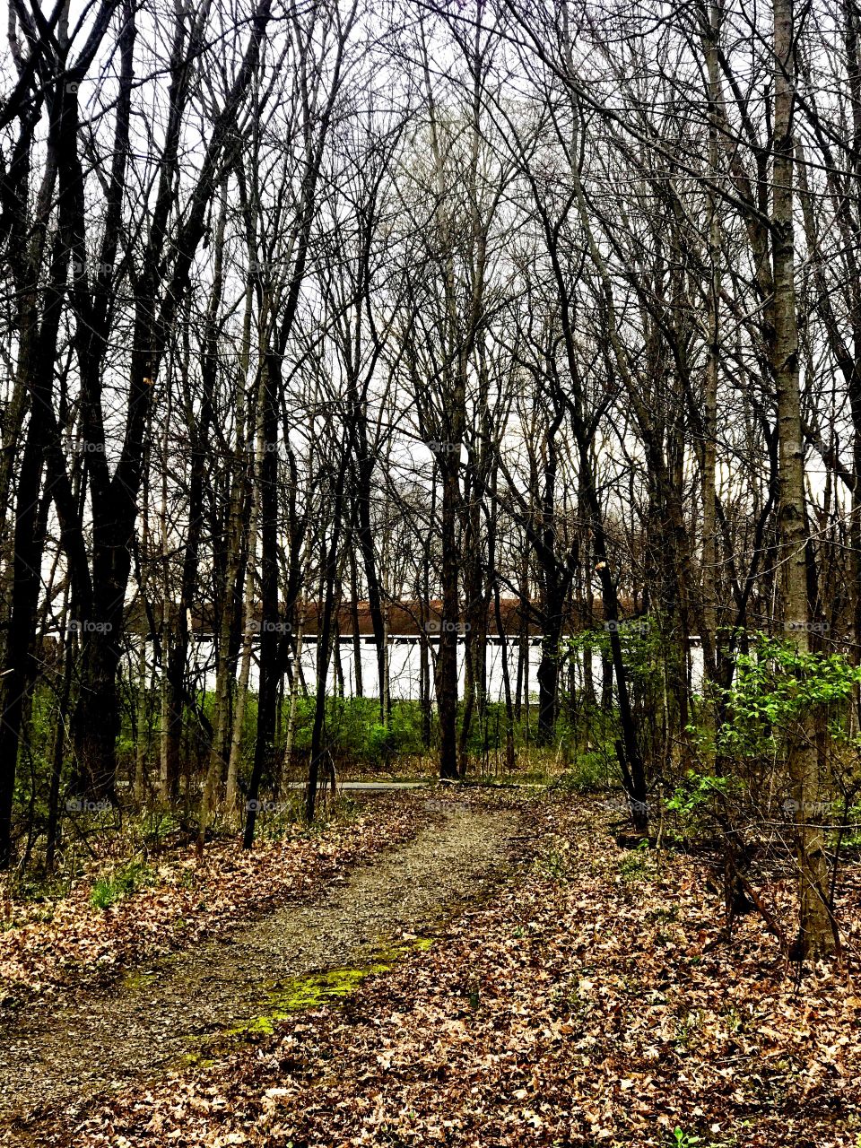 View of the covered bridge thru the woods in Indiana 