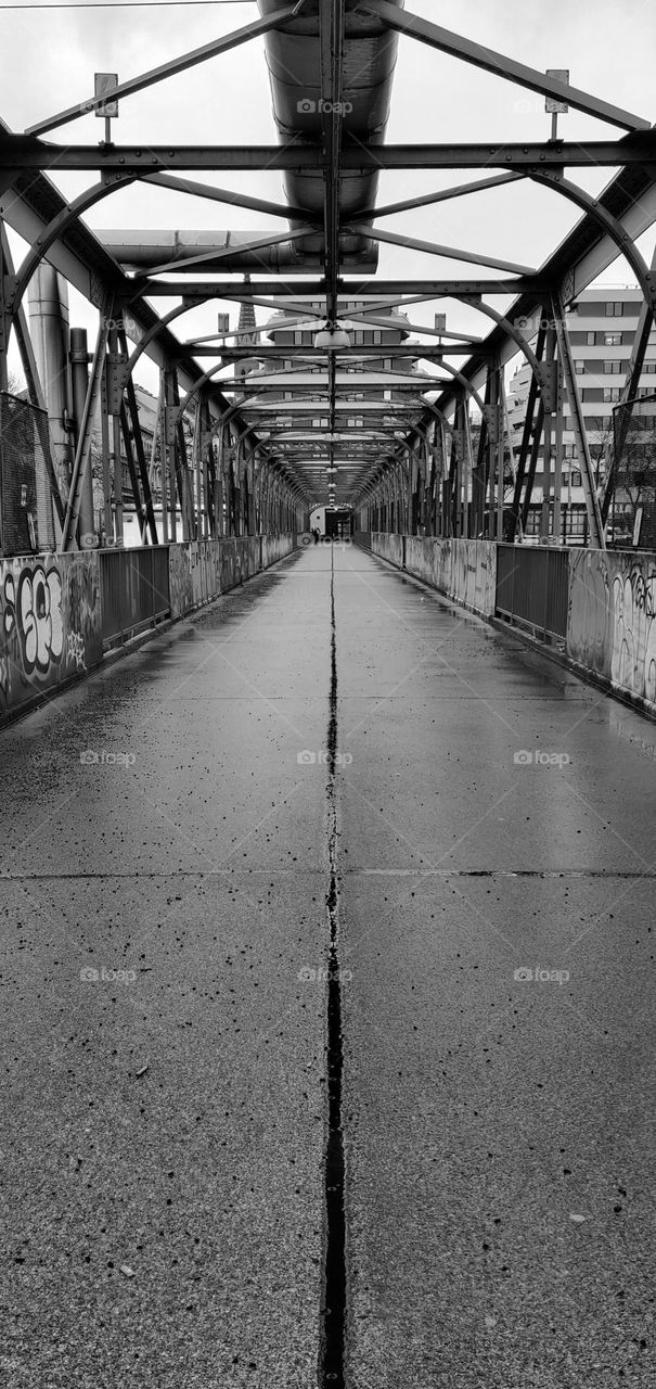 Bridge in Black and White