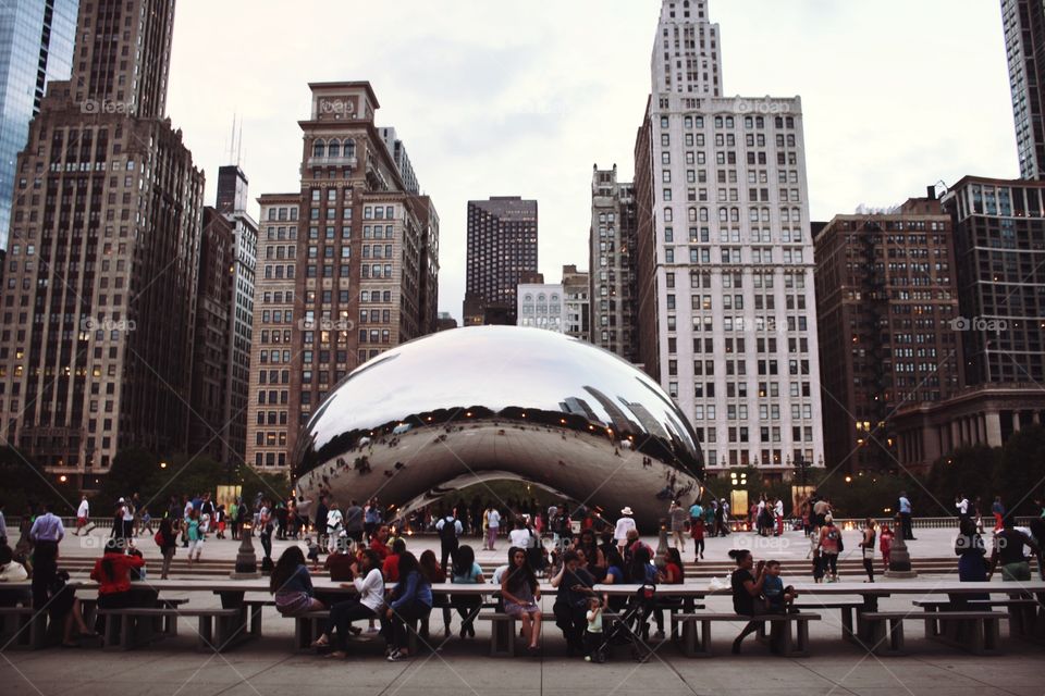 The Bean!