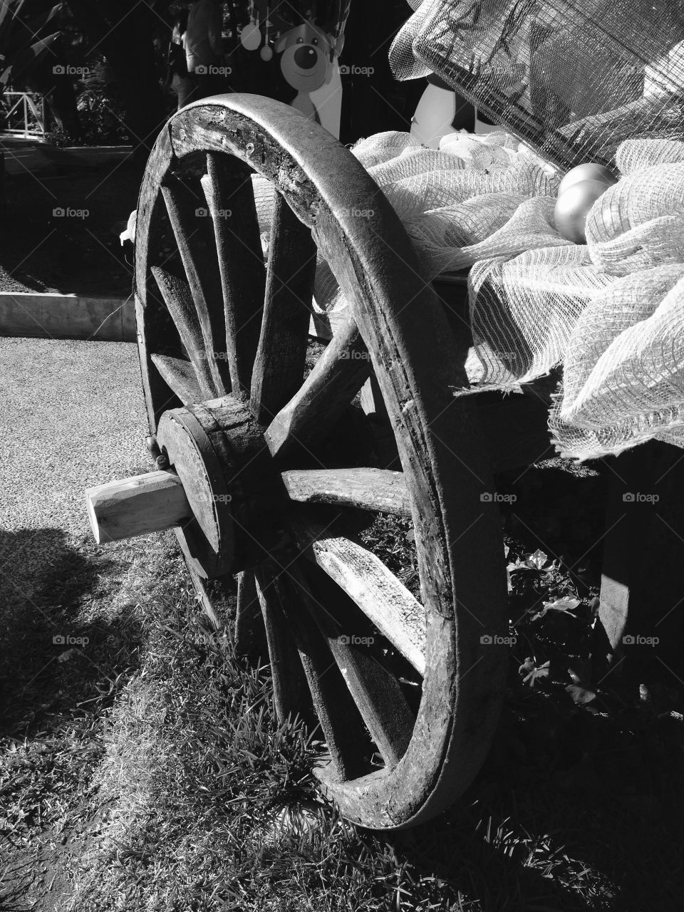 Close-up of wheel cart